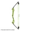 Bear Apprentice Compound Bow -Shooting Series 1360277 gr