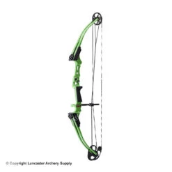 Genesis Archery Mini Genesis Bow (Colors) -Shooting Series 1570004 green