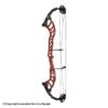 2021 Hoyt Altus 38 Compound Target Bow DCX Cam (Clearance X1033002) 1 2021 Hoyt Altus 38 Compound Target Bow DCX Cam (Clearance X1033002) -Shooting Series 2561104 red b98a0041 e937 4a45 8741 20a07f244b34