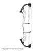 2021 Hoyt Altus 38 Compound Target Bow DCX Cam (Clearance X1033088) -Shooting Series 2561104 white c54adca5 4c0a 49b1 8e02 87b3ebe5c4ce