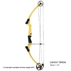 Genesis Archery Original Genesis Bow (Colors) -Shooting Series 3110064 lemonyellow