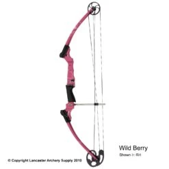 Genesis Archery Original Genesis Bow (Colors) -Shooting Series 3110064 wildberry