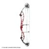 2021 PSE Citation EM Compound Target Bow -Shooting Series 3530670