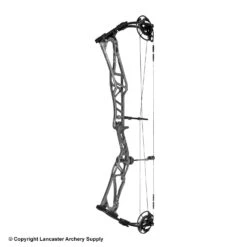 2020 Elite REZULT Target Compound Bow -Shooting Series 6530124 gray