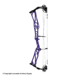 2020 Elite REZULT Target Compound Bow -Shooting Series 6530124 purple