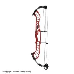 Hoyt Invicta 40 SVX Compound Target Bow (Clearance X1032829)